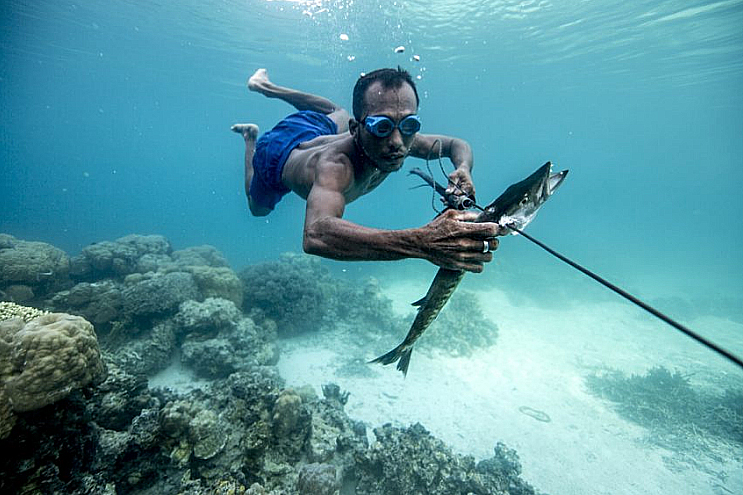 Os Bajaus são um povo nômade do mar que habita as águas que cercam as Filipinas, a Malásia e a Indonésia há séculos. Eles são famosos por suas habilidades de mergulho extremo, sendo capazes de permanecer submersos por até 13 minutos a profundidades de cerca de 60 metros.